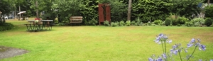Overzicht terrein